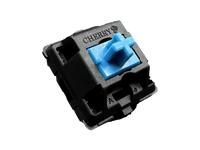 Cherry MX Blue Switch Sample