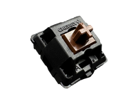 Cherry MX2A Brown Switch Sample