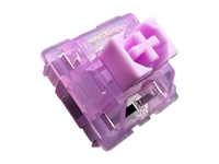 KTT Phalaenopsis Switch Sample