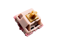 Gateron Mountain Top Switch Sample