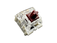 Kailh Speed Copper Switch Sample