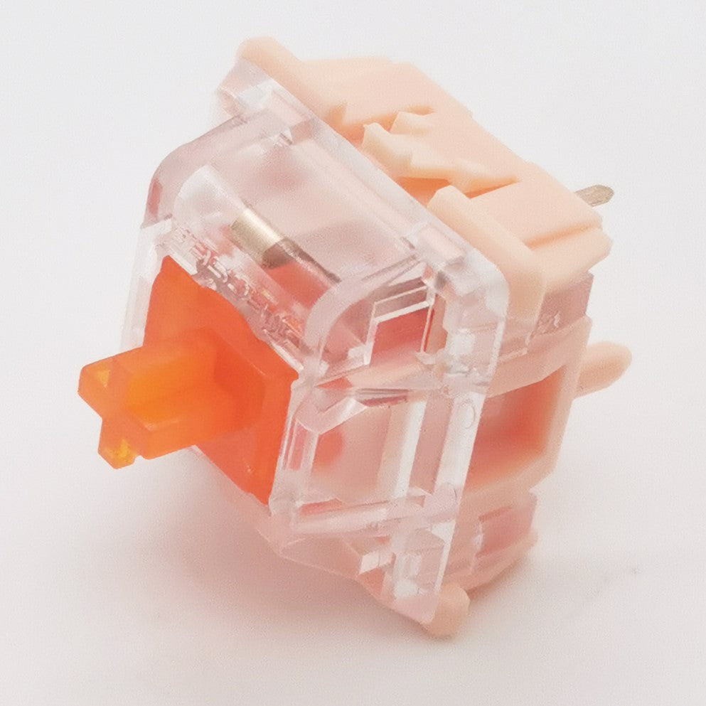 Tecsee Coral Tactile Switches